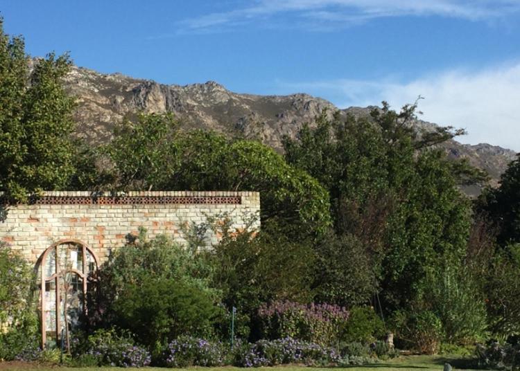 Watermill Studios Gordonsbaai Buitenkant foto