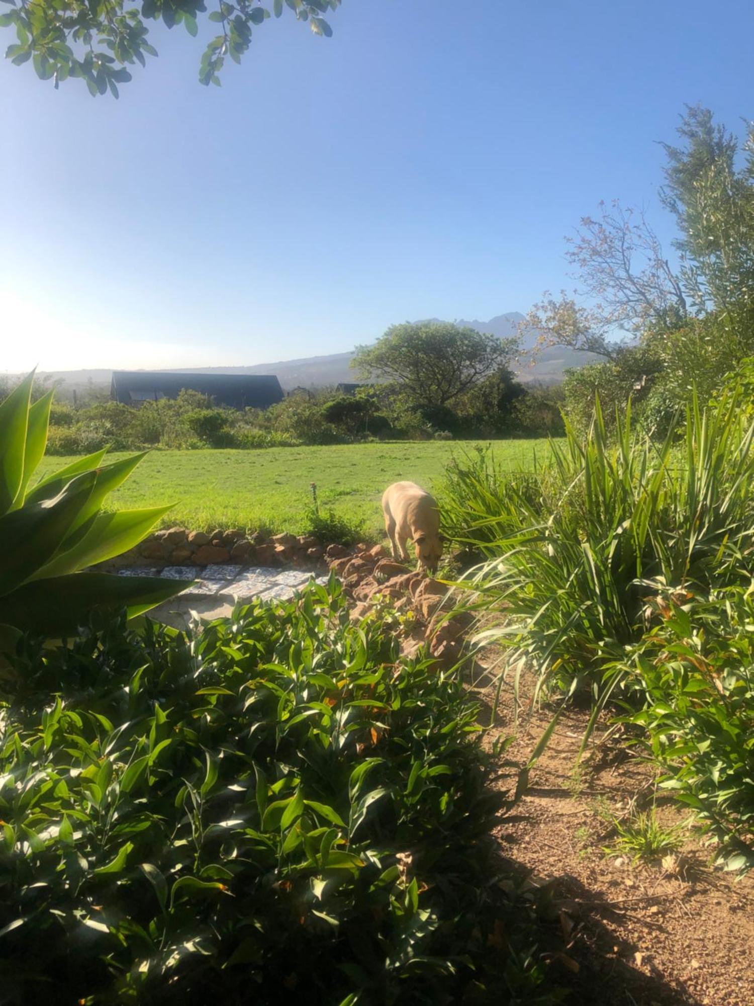 Watermill Studios Gordonsbaai Buitenkant foto
